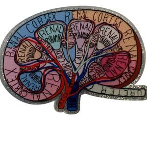 Anatomical Brain Retractable ID Badge Reel, Neurologist, Nurse, Neurology, NWT